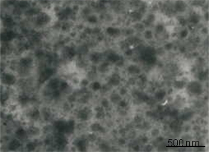 Figure 1 TEM micrograph of magnetic liposomes. The average size of the liposomes is ∼150 nm.