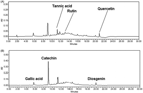 Figure 5. HPLC chromatogram of extract at (A) 254 and (B) 278 nm indicating the presence of marker metabolites (tannic acid, rutin and quercetin, gallic acid, catechin and diosgenin) in mother extract of gokhru.