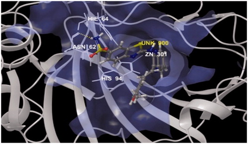 Figure 2. Binding mode of compound 4c into the binding sites of carbonic anhydrase enzyme (PDB code: 4KUV) showing hydrogen bond (dotted lines) with ASN62 and pi–pi interaction with HIE64 and HIS94.