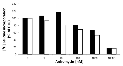 Figure 4. [3H]-leucine incorporation assay in FEMX-1(black bars) and WM239 cells (white bars) following 3 h of treatment with increasing doses of anisomycin. The results are reported as percentage leucine incorporation related to untreated cells. Results from two biological replicate experiments.