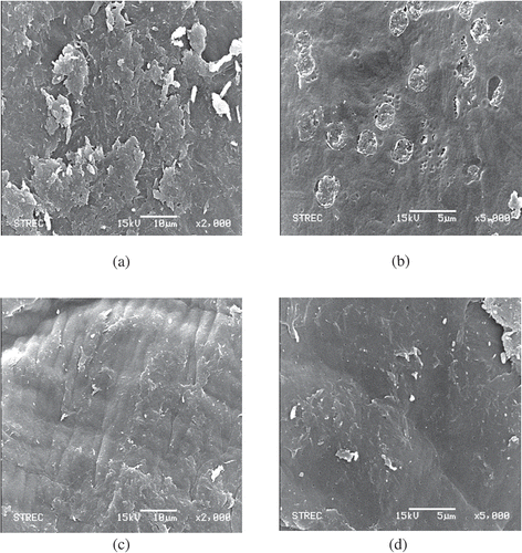 Figure 1. Scanning electron micrograph of surface of chitin at 2000× and 5000× (A and B) and chitosan at 2000× and 5000× (C and D)