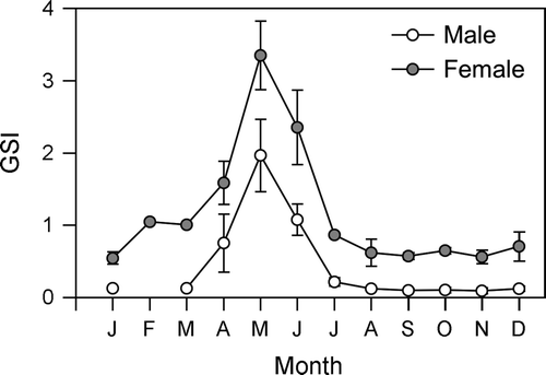 Fig. 7  Monthly changes in the gonadosomatic index (GSI) of male (n=60) and female (n=78) Seriola lalandi. Vertical bars denote the standard error.