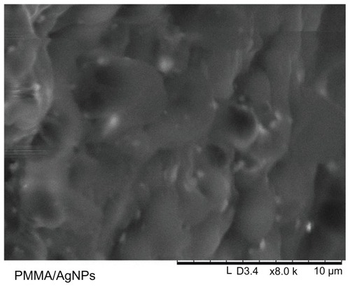 Figure 4 Scanning electron micrograph of PMMA-silver nanoparticles showing a homogeneous silver nanoparticle distribution in the PMMA matrix.Abbreviation: PMMA, poly(methyl methacrylate).