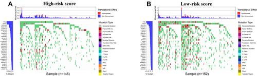 Figure 8 Tumor mutational burden analysis. (A and B) The top 30 mutational genes in the high-risk and low-risk groups.