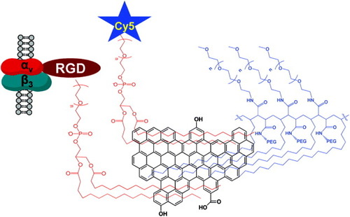 Figure 10. The nanosized, reduced graphene oxide (nano-rGO) sheets with high NIR light absorbance and biocompatibility for potential photothermal therapy. The figure illustrates that the attachment of a targeting peptide bearing the RGD motif to nano-rGO afforded selective cellular uptake in cancer cells via αvβ3 integrin receptors recognition. In this nanosystem, stability was further improved by the noncovalent functionalization of amphiphilic PEGylated polymers on the nano-rGO sheets. Adapted with permission from Robinson et al [Citation128]. Copyright© 2011, American Chemical Society.