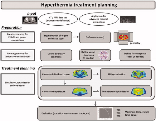 Figure 1. General outline of the treatment planning process.