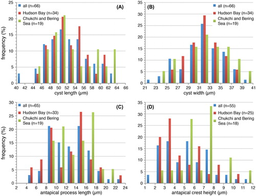 Figure 6. Frequency distribution diagram (A–C: 2 μm bins; D: 1 μm bins) for measured elongate Spiniferites cysts, for the total dataset (blue), cysts from Hudson Bay (red) and cysts from the Chukchi and Bering Sea (green). A) Cyst length; B) Cyst width; C) Antapical process length; D) Antapical crest height.