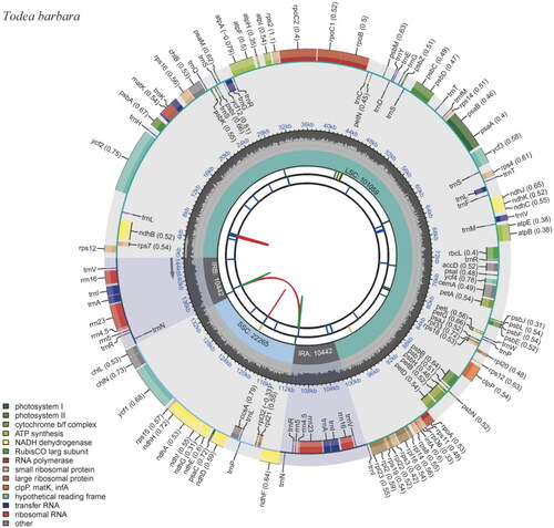 Figure 2. Complete chloroplast genome map of Crepidomanes latealatum, containing six tracks. From the center, the first track shows the dispersed repeats, which consist of direct (red) and palindromic (green) repeats. The second and third tracks show the long and short tandem repeats, respectively. The regional composition of the genome, LSC, SSC, and IRs, are identified on the fourth track. The GC content along the genome is plotted in the fifth track. The genes are shown on the outer sixth track.