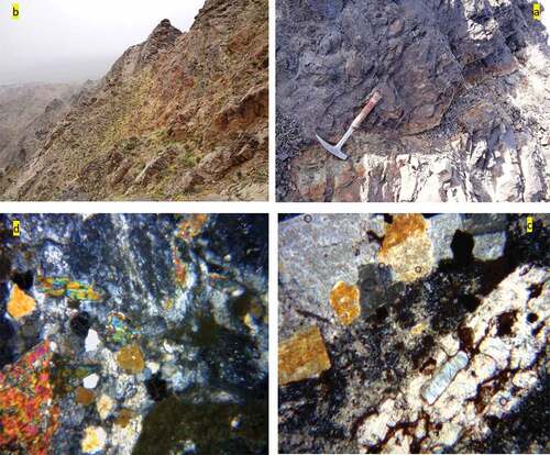 Figure 3. Argillic alteration in Shahrab area; a) Argillic and hematite in tuff unit; b) Argillic alteration along fracture zone; c) kaolinitization of plagioclase mineral in andesite unite (50X); d) Intense kaolinitization of plagioclase in andesite unit (50X).