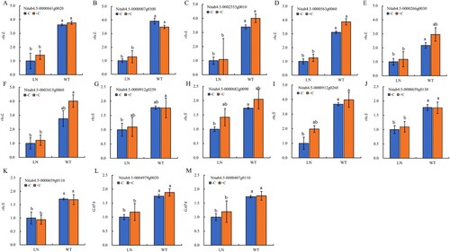 Figure 7. The related genes expression of Calvin cycle in tobacco leaves under nitrogen and biochar treatmeat. Notes: The data in the figure are from three biological repetitions (n  = 3) means ± standard error (SE). Different lowercase letters indicate significant differences (P < 0.05).