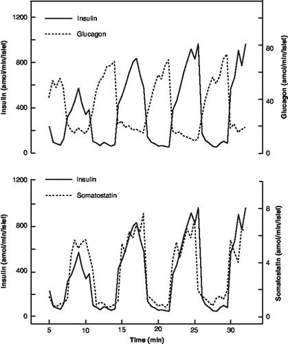 Figure 9.  Relation between the repetitive release pulses of insulin and glucagon in the experiment shown in Figure 8. The insulin pulses are anti-synchronous to the glucagon pulses (upper panel) and coincide with the somatostatin pulses (lower panel).