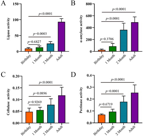 Figure 7. The activities of digestive enzymes of the rumen in goats from birthday to adult Differences between groups were labeled over bars.