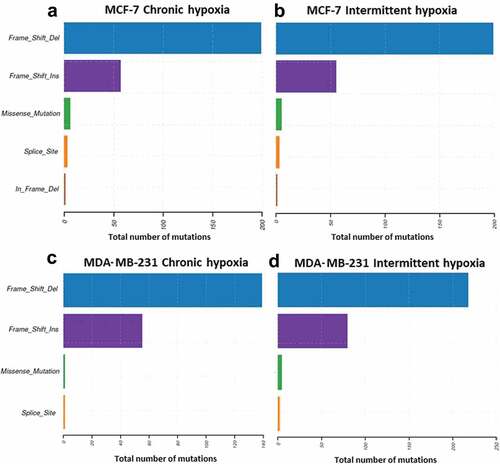 Figure 3. Exome data analysis indicated an increase in frameshift deletions and insertions in both MCF-7 (a and b) and MDA-MB-231 cells (c and d) under chronic and intermittent hypoxic conditions. The data represent the total number of mutations identified from three independent experiments