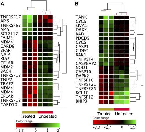 Figure 6 Expression profile of apoptotic gene. Hierarchical cluster analysis with heatmap presentation were constructed for anti-apoptotic genes (A) and pro-apoptotic genes (B) (FC ≥1.5 with p≤0.05 and corrected p≤0.1) in ZnO NPs-treated DLBCL cells compared with untreated DLBCL cells. The color range represents the normalized signal value of probes (log2 transformation and 75 percentile shift normalization).