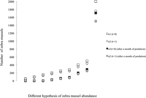 Figure 4. Number of n1 (squares) and n2 (circles) individuals (in the following year) in the absence of predation (open symbols) and after predation by one Procambarus clarkii for 1 month (grey and black symbols) for different numbers of mussels provided.