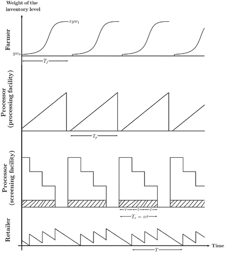 Figure 1. Inventory system profile for a farmer, a processor and a retailer in a supply chain for growing items with imperfect processing (with n=3 for illustrative purposes)