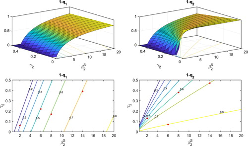 Figure 8. Probability of a major epidemic, 1−q1 and 1−q2, initiated by one low-susceptible individual or one high-susceptible individual, respectively, are graphed as a function of transmission rate (β2S) and recovery rate (γ2) of the high-susceptible individuals. Other parameter values for measles are taken from Table 5. In addition, contours for each surface are graphed at the bottom of the figures, for several fixed probabilities.