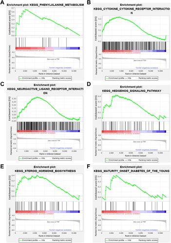 Figure 4 Gene Set Enrichment Analysis results. (A) KEGG_PHENYLALANINE_METABOLISM; (B) KEGG_CYTOKINE_CYTOKINE_RECEPTOR_INTERACTION; (C) KEGG_NEUROACTIVE_LIGAND_RECEPTOR_INTERACTION; (D) KEGG_HEDGEHOG_SIGNALING_PATHWAY; (E) KEGG_STEROID_HORMONE_BIOSYNTHESIS; (F) KEGG_MATURITY_ONSET_DIABETES_OF_THE_YOUNG.