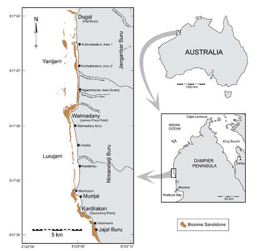 FIGURE 1. Yanijarri–Lurujarri section of the Dampier Peninsula, Western Australia. Dinosaur tracksites are scattered all along this stretch of coast, intermittently exposed at low tide on shore platforms and reefs of the Lower Cretaceous (Valanginian–Barremian) Broome Sandstone. The extent of intertidal shore platforms and associated exposures of the Broome Sandstone is based on beach conditions during 2011–2012. Place names correspond to ethnographic sites on the Lurujarri Heritage Trail and include mythological and ceremonial places relating to the Song Cycle and its associated traditional law and culture, camping areas of historical significance, and numerous burials (modified and updated from those listed in Worms, Citation1944; Akerman, Citation1975, Citation1976; Bradshaw and Fry, Citation1989).