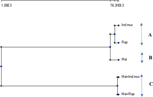 Figure 7. Cluster analysis of tested pattern for remediation of heavy metals.