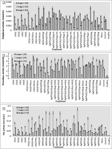 Figure 5. Activities of (A) poly phenol oxidase (PPO), (B) peroxidase (POX) enzymes and (C) phenylalanine ammonia-lyase (PAL) in the roots of eggplants.