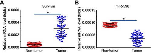 Figure 2 Expression of Survivin and miR-596 in clinical specimens. RNA levels of Survivin (A) or miR-596 were examined in 74 paired nontumor/tumor clinical tissues. *P<0.05 versus nontumor group with tumor group.Abbreviation: miR, microRNA.