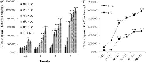 Figure 2. Cellular uptake of nR-NLC by clearage method. (A) The cellular uptake of Cou 6-loaded nR-NLC by A549 cells at different incubation time at 37 °C, the Cou 6 concentration was at 2 μg/ml. (B) The cellular uptake of Cou6-loaded nR-NLC at 37 °Cand 4 °C at 4 h, the Cou6 concentration was at 2 μg/ml. Results are presented as mean ± SD (n = 3). Significant differences from 0R-NLC are indicated as follows: *p < 0.05, **p < 0.01 and ***p < 0.001.