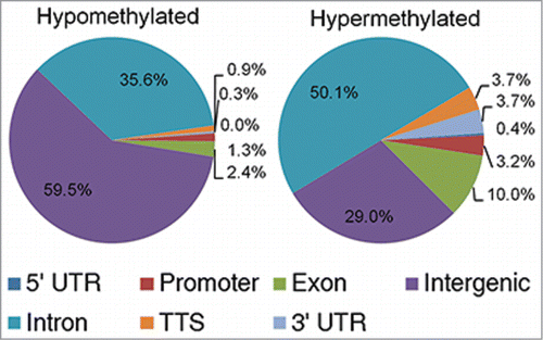 Figure 5. Genomic distribution of hypomethylated and hypermethylated loci during the pro-B to pre-BI transition.
