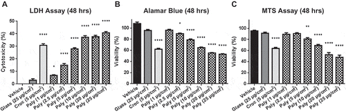 Figure 2. Palygorskite is cytotoxic and reduces cell viability in human mesothelial cells. Lactate dehydrogenase (LDH) assay performed by exposing HM cells to increasing concentrations of palygorskite for 48 h (A). Reductions in the viability of HM cells 48 h after adding palygorskite demonstrated by using the Alamar blue assay (B) and MTS assay (C). HM cells from at least 2 different patients and 12 or more total replicates. Mean ± SEM values shown (*p < .05, **p < .01, ****p < .0001).