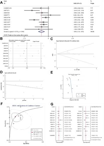 Figure 3 The mRNA expression level and discrimination potential of ATF3 in HB based on 9 studies. (A) Forest plot. (B) Heterogeneity analysis. (C–E) Begg’s, Egger’s and Deek’s tests. (F) SROC curve. (G) DLR.