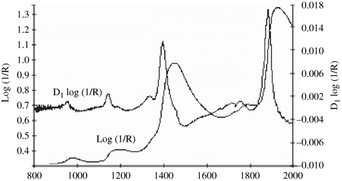Figure 2 Typical spectra of log (1/R) and the first derivate of the reflectance reciprocal, D1 log (1/R) for pear fruit.
