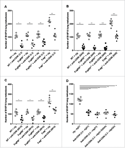 Figure 5. Anti-CD96 mAb suppression of metastases is not dependent on Fc function. Groups of 4–8 C57BL/6 WT or various FcR-deficient mice (FcγRIII, FcγRIV or Fcϵγ) were injected i.v. with B16F10 melanoma (1 × 105cells). On days 0 and 3 after tumor inoculation, mice were treated with i.p. injections of (A-C) cIg (250 or 400 μg), (A) anti-CD96 mAb 3.3 (250 μg, rat IgG1), (B) 6A6 (250 μg, rat IgG2a), or (C) 8B10 (400 μg, rat IgG2a) as indicated. (D) Groups of 5 C57BL/6 WT mice were injected i.v. with B16F10 melanoma (2 × 105cells). On days 0 and 3 after tumor inoculation, mice were treated with 250 μg i.p. injections of cIg (rat G1), 3.3 (rat IgG1), 3.3 (mouse IgG1), 3.3 (mouse IgG1 D265A), or 3.3 (mouse IgG2a). The metastatic burden was quantified in the lungs after 14 days by counting colonies on the lung surface. Individual mice are represented by each symbol and means ± SEM of 4–8 mice per group are shown. Significant differences between groups as indicated by crossbars were determined by a one-way ANOVA with post Tukey test (*: p < 0.05, **: p < 0.01, ***: p < 0.001).