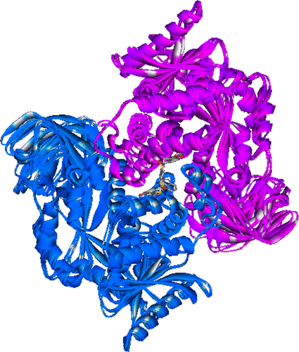 Figure S1 Superimposition of seven PKM2-activator complexes.Abbreviation: PKM, pyruvate kinase isozyme.