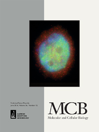 Cover image for Molecular and Cellular Biology, Volume 36, Issue 12, 2016