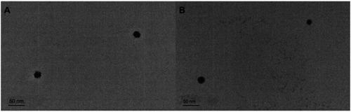 Figure 3 TEM micrographs and image of GEN-F (A) and GEN-L (B), Scale bar =50 nm.