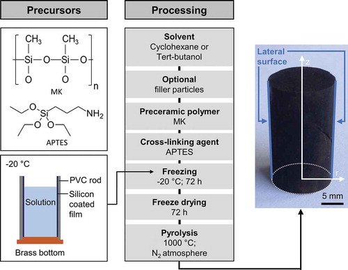 Figure 1. Process scheme of monolith preparation by solution-based freeze casting of polymeric solutions.