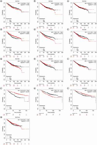 Figure 3. Prognostic values of SLC2s for OS in all breast cancer patients (1402 invasive carcinoma patients).p-values were calculated by log-ranktest. HRs with 95% confidence intervals (CIs) are displayed. (a)SLC2A1; (b)SLC2A2; (c)SLC2A3; (d)SLC2A4; (e)SLC2A5; (f)SLC2A6; (g)SLC2A8; (h)SLC2A9; (i)SLC2A10; (j)SLC2A11; (k)SLC2A12; (l)SLC2A13; (m)SLC2A14.