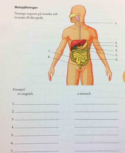 Figure 2. Vocabulary translation task in natural science.