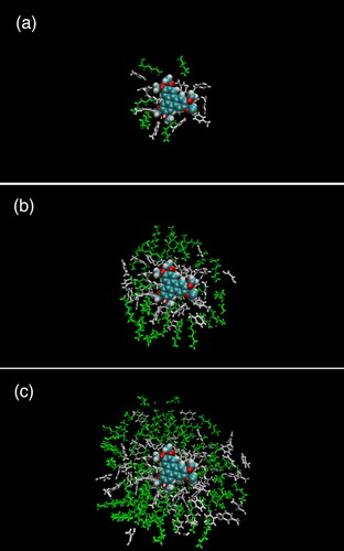 Figure 4. Set of snapshots of TPN-C1 in 50/50 heptol mixture, produced using VMD 1.9.3, with toluene molecules (gray) and heptane molecules (green) shown within (a) 0.5, (b) 1, and (c) 1.5 nm of the TPN molecule.