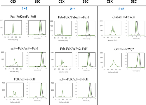 Figure 4. AKTA profile during CEX purification and SEC profile of eight different HER2×CD3 T-bsAbs after an initial protein a step.