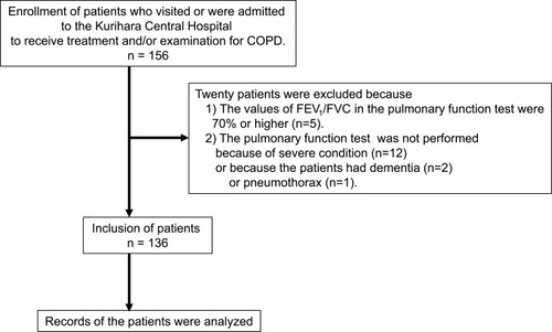 Figure 1 Schematic diagram outlining the patient selection process.