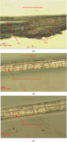 Figure 13. Fiber Surface morphology obtained by using Zeta 20 3D optical microscope (a) untreated fiber, (b) mechanically treated fiber, and (c) chemically treated fiber.