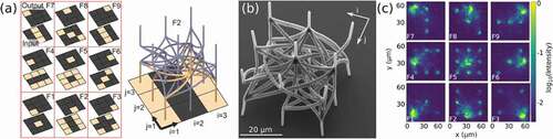 Figure 15. Fully parallel and passive convolutions integrated in 3D. (a) 9 convolutional Haar filters and their 3D integration topology using photonic waveguides. (b) SEM micrograph of the 3D printed convolutional filter unit, fabricated with direct laser writing. (c) The filter’s optical transfer function agrees well with the target defined in [a). Figure reproduced from .Citation186