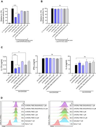 Figure 2 nt-RORα-TMD specifically suppressed IL-17A secretion through the inhibition of RORα-mediated transcription. (A and B) The competitive inhibition of nt-RORα-TMD over the endogenous RORα was examined by luciferase assay using HEK293 cells co-transfected with IL-17A promoter-luciferase vector and a vector expressing wild-type RORα (A) or a vector expressing wild-type RORγt (B). At 24 hours after the treatment of the transfected cells with nt-RORα-TMD or nt-RORα-TMD (R42A/R43G), the luciferase activity was measured by a luminometer. (C) Mouse splenocytes were activated with anti-CD3 and anti-CD28 antibodies in the presence of nt-RORα-TMD or nt-RORα-TMD (R42A/R43G), and the amount of IL-17A, IFN-γ, and IL-4 in the medium was measured by ELISA. (D) Mouse naïve CD4+CD62L+ T cells were isolated through MACS and activated with anti-CD3 and anti-CD28 antibodies treated in the presence of nt-RORα-TMD or nt-RORα-TMD (R42A/R43G). The level of CD69 or CD25 on the surface was analyzed by flow cytometry after 1 and 3 days of activation, respectively. The graphs are represented as mean ± SEM (n=3), *P<0.05, ***P<0.001.