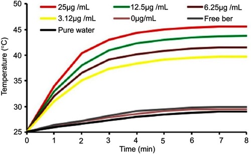 Figure S6 Temperature increase in FA-JGMSNs-Ber suspensions at various concentrations under NIR exposure.