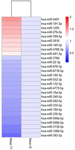 Figure 3. List of 28 differentially expressed miRNAs between normal tissues and T1 stage tissues in LUSC. T1 represents the early stage group. The data are shown as mean values.