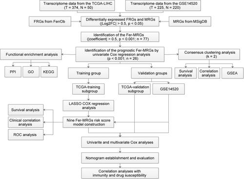 Figure 1 Data processing and analysis procedures of the study.