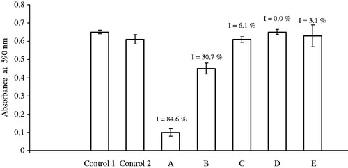 Figure 2. Cytotoxic effect of K2[B3O3F4OH] on mouse squamous carcinoma cell line SCCVII. (Control 1) Cells without the addition of K2[B3O3F4OH] and in the absence of Ca2+ ions; (Control 2) cells without the addition of K2[B3O3F4OH] and in the presence of different concentrations of Ca2+ ions 9.42–72.42 mM (average value); (A–E) cells after the addition of 3.85 mM K2[B3O3F4OH] and in the presence of Ca2+ ions: (A) 0.42 mM, (B) 9.42 mM, (C) 18.42 mM, (D) 36.42 mM and (E) 72.42 mM.