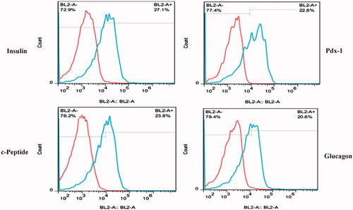 Figure 4. Flow cytometry analysis of insulin, c-peptide, glucagon and Pdx-1 proteins in CJMSCs-derived IPCs on TCPS.