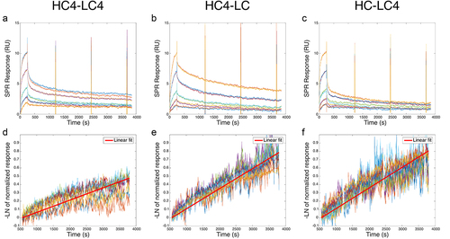 Figure 5. Interaction between the E4-tagged TZMs and K5. (A-C) SPR double-referenced sensorgrams showing the interaction of injected HC4-LC4 (A), HC4-LC (B) and HC-LC4 (C) with the K5-functionalized SPR chip. E4-tagged TZMs are injected at concentrations of 25, 50, 100, 250 and 500 nM. (D-F) Logarithm of the normalized SPR responses during the second part of the dissociation phase (t>500s) for HC4-LC4 (D), HC4-LC (E) and HC-LC4 (F). The slope of the linear fit has a value of koff,app, according to equation 3.